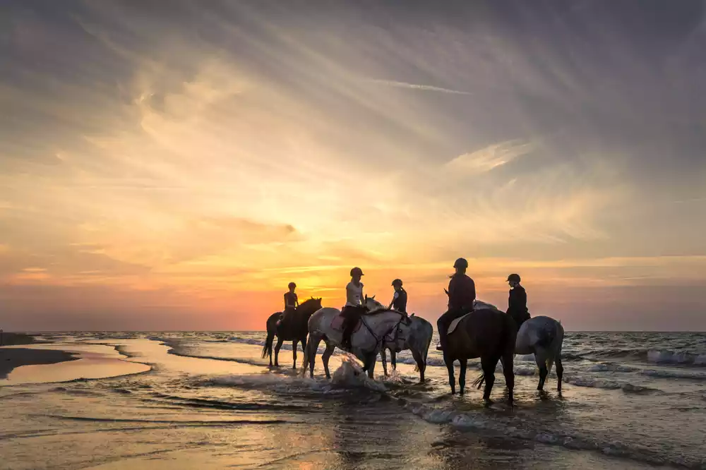 Exploring Rosarito Outdoor Activities for Land and Sea 2 Horseback Riding along the Beach