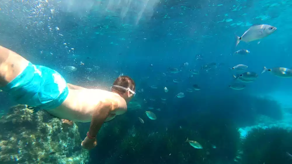 Exploring Rosarito Outdoor Activities for Land and Sea 3 Snorkeling and Scuba Diving Exploration