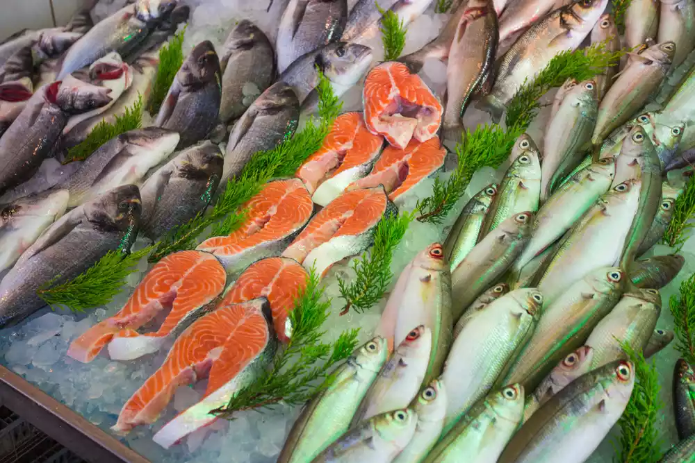 Discover The Fresh Food in Rosarito From Sea to Table 3 sea market